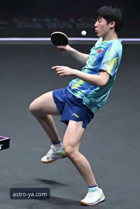 WTT重庆赛“青春风暴”的深度解析：从温瑞博的突破看竞技体育的魅力